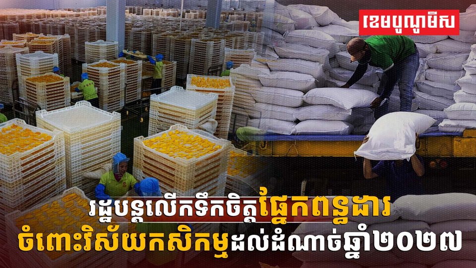 វិស័យកសិកម្ម