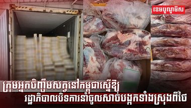 វិស័យចិញ្ចឹមសត្វ