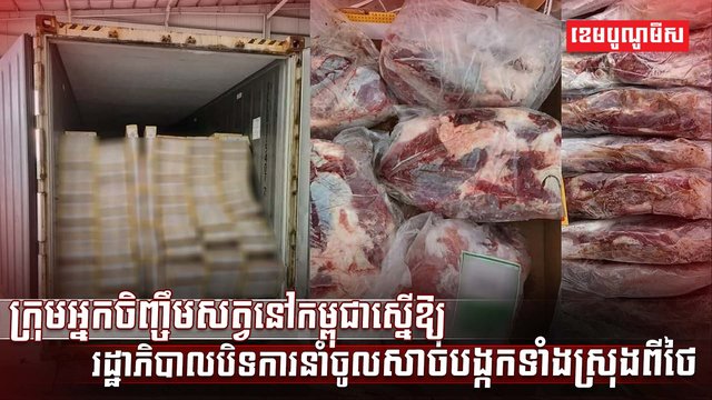 វិស័យចិញ្ចឹមសត្វ
