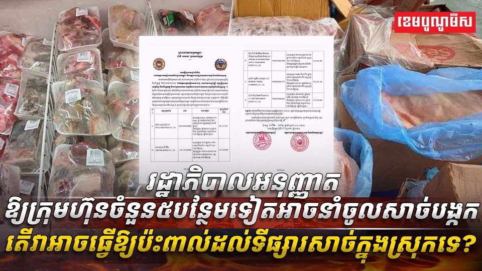 វិស័យចិញ្ចឹមសត្វ