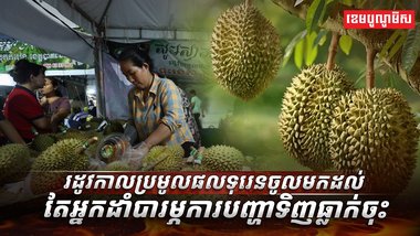 វិស័យ​កសិកម្ម