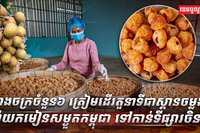 រោងចក្រកែច្នៃ