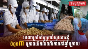 ដំណាំស្វាយចន្ទី