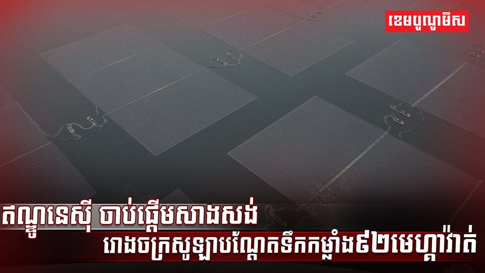 វិស័យថាមពល