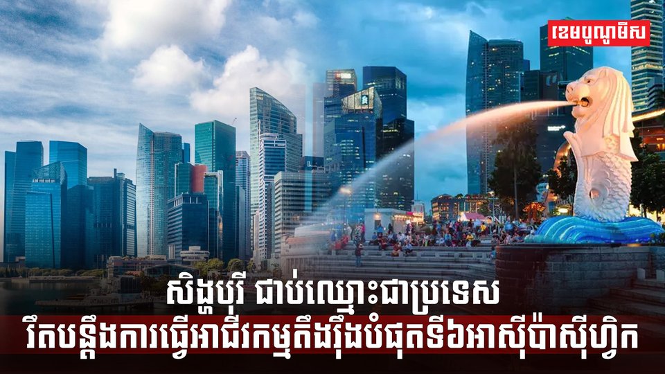 វិស័យ SME