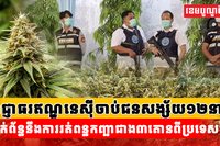 រត់ពន្ធកញ្ឆាជាង៣តោនពីប្រទេសថៃ