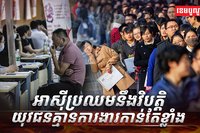 វិស័យការងារ