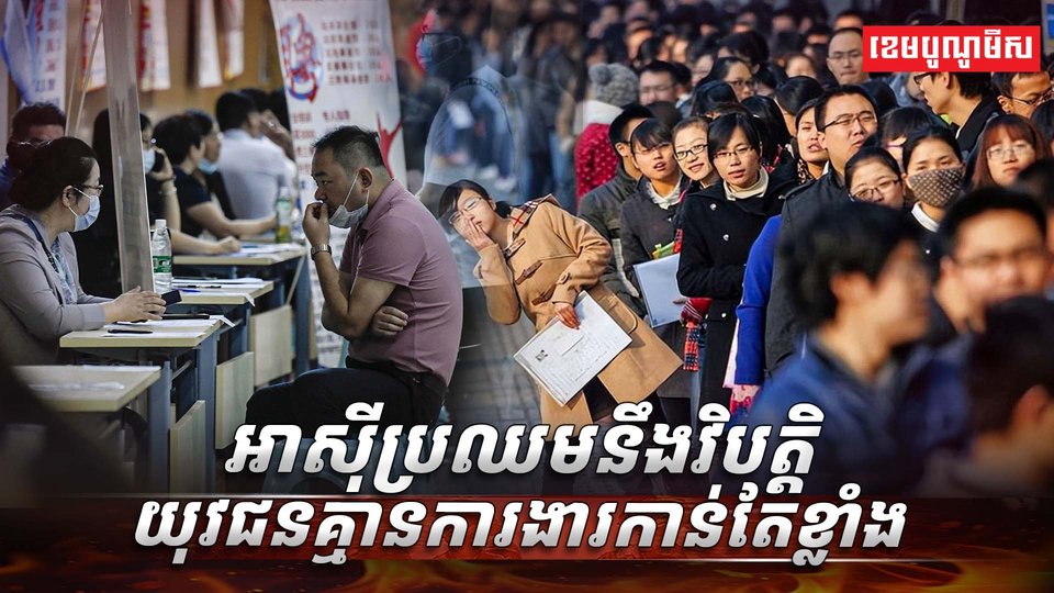 វិស័យការងារ