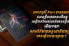 លោកស្រី Fari ជានរណា? ហេតុអ្វីបានជាការនិពន្ធសៀវភៅរបស់គាត់មានឥទ្ធិពលធ្វើឲ្យបណ្ដាសារព័ត៌មានអន្តរជាតិជាច្រើន បានធ្វើការចុះផ្សាយ?