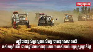 វិស័យកសិកម្ម
