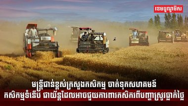 វិស័យកសិកម្ម