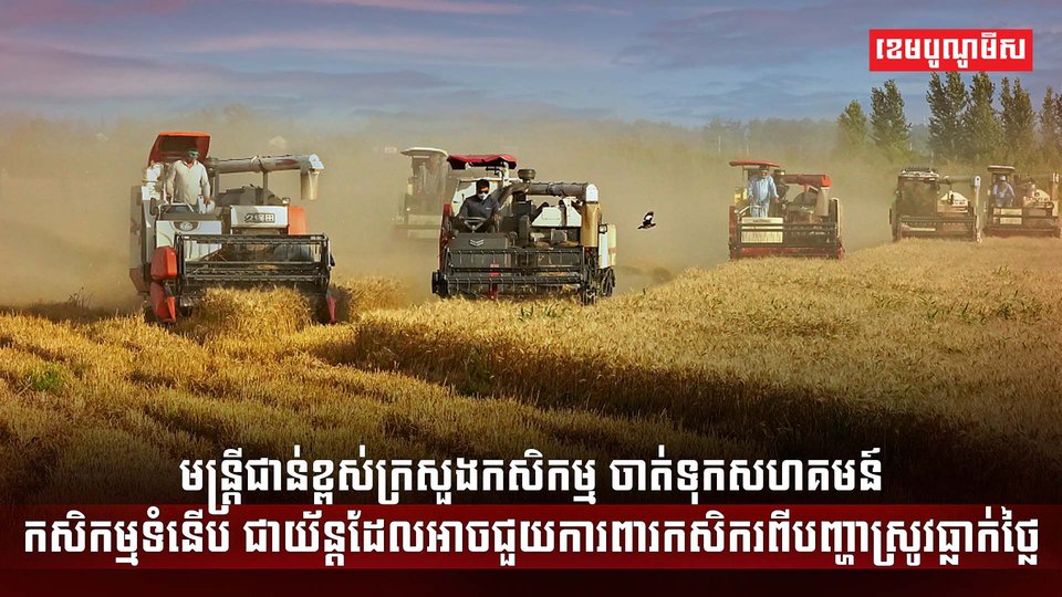 វិស័យកសិកម្ម