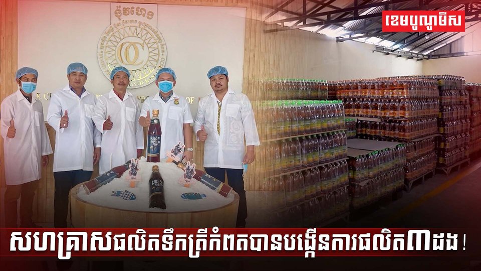វិស័យ SME