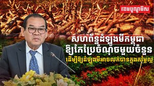 ទីផ្សារដំឡូងមី