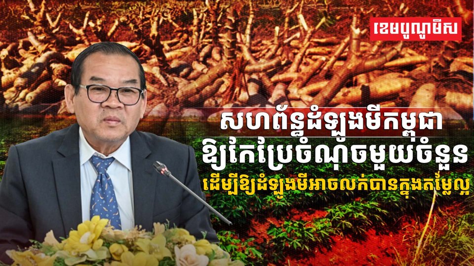 ទីផ្សារដំឡូងមី