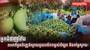 អ្នកជំនាញរំពឹងសហព័ន្ធអភិវឌ្ឍន៍ស្វាយ