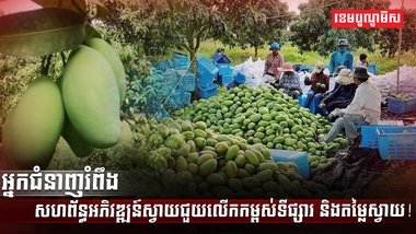 អ្នកជំនាញរំពឹងសហព័ន្ធអភិវឌ្ឍន៍ស្វាយ