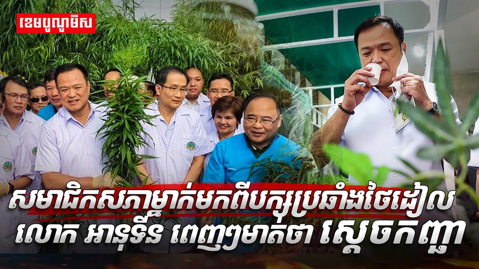សមាជិកសភា