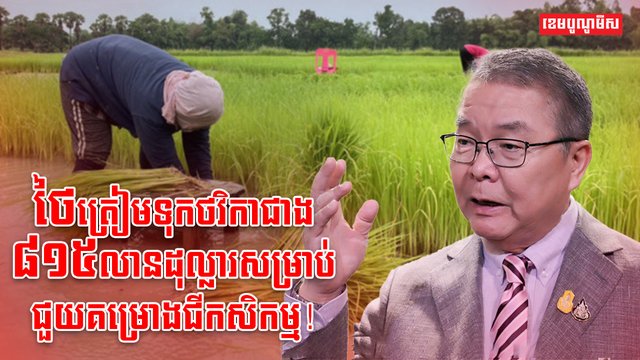 វិស័យកសិកម្ម