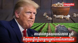 កសិករអាម៉េរិក
