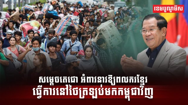 វិស័យការងារ