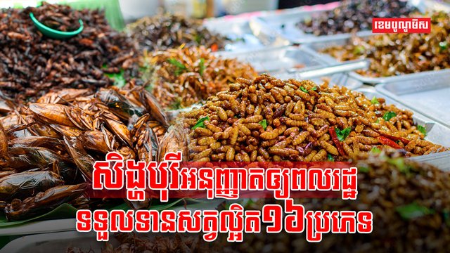 ទីភ្នាក់ងារម្ហូបអាហារ