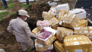 ផលិតផលសត្វខុសច្បាប់ដែលមន្រ្តីជំនាញចាប់នៅតាមច្រកនាំចូលខេត្តបន្ទាយមានជ័យ  កំពុងរៀបចំដុតបំផ្លាញចោល  រូបភាព៖ អគ្គនាយកដ្ឋានសុខភាពសត្វ និងផលិតកម្មសត្វ