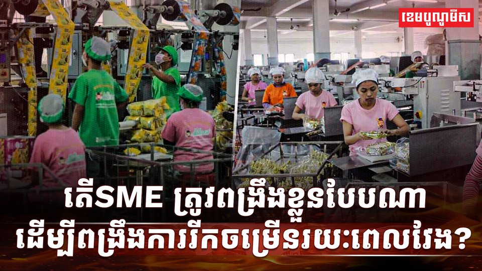 វិស័យ SME