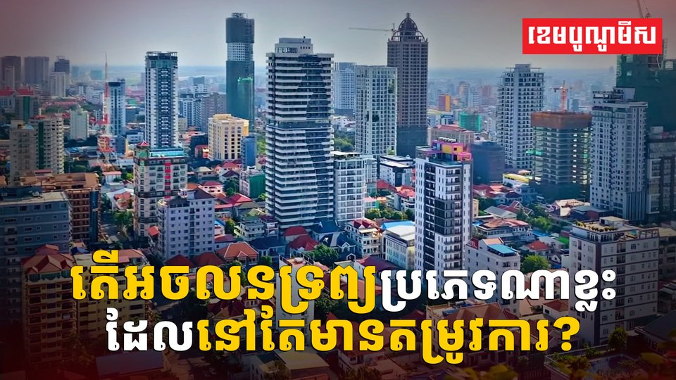 វិស័យអចលនទ្រព្យ