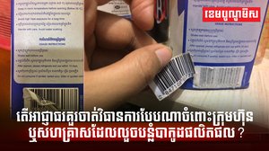 វិស័យ SME
