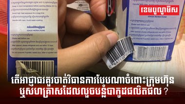 វិស័យ SME