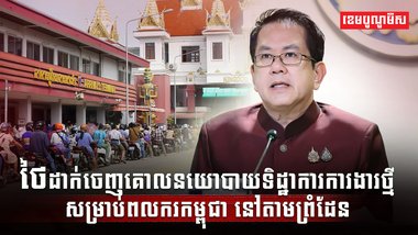 វិស័យការងារ