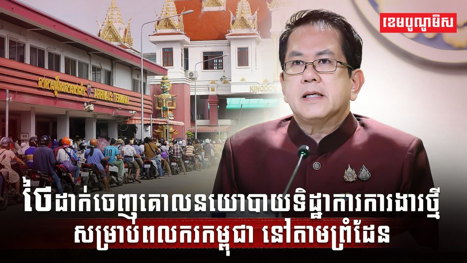 វិស័យការងារ