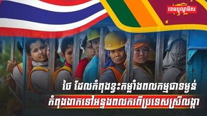 វិស័យការងារ