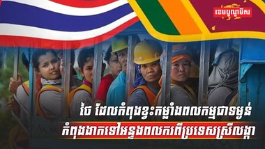 វិស័យការងារ