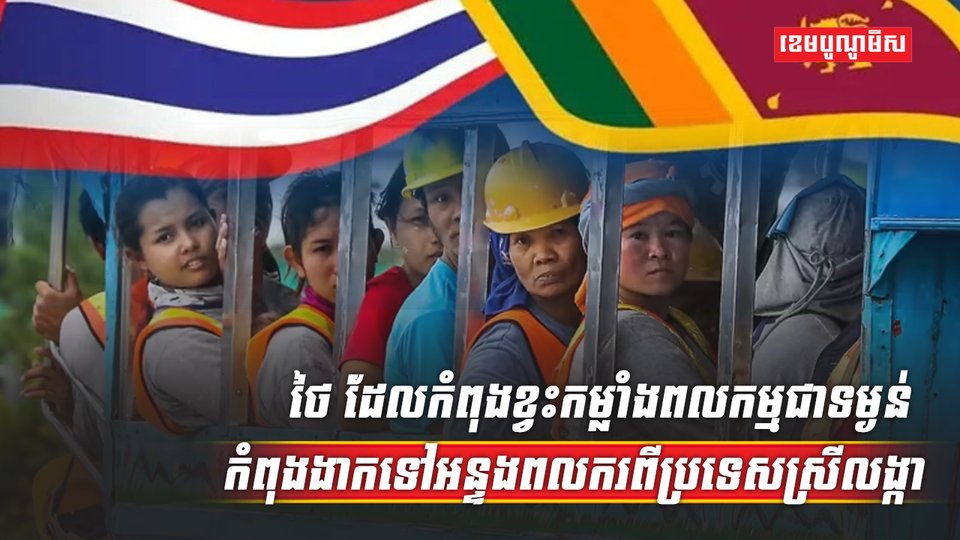 វិស័យការងារ