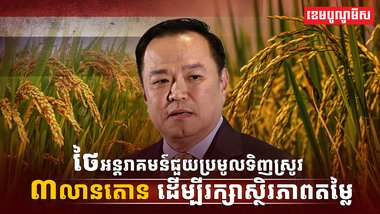 វិស័យស្រូវអង្ករ