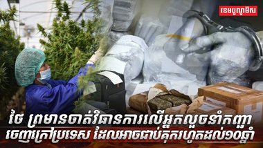 ដំណាំកញ្ឆា