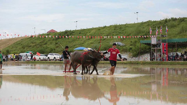 ប្រទេស​ថៃ​លៃ​ថវិកាជាង ២,៤​ពាន់​លាន​ដុល្លារ​សម្រាប់​ឲ្យ​កសិករ​ខ្ចី​ដើម្បី​ពន្យារ​ពេល​ការ​លក់ស្រូវ។