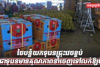 ការនាំចេញទុរេន