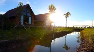 រីសត the crane