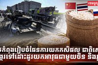 វិស័យការបរទេស