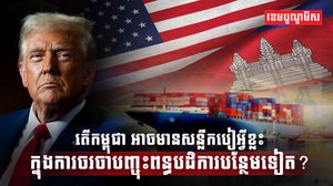 ការចរចាបញ្ចុះពន្ធបដិការ