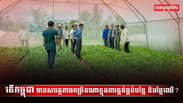 វិស័យកសិកម្ម