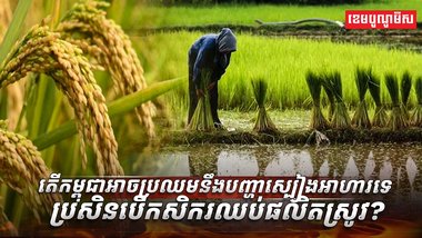 វិស័យ​កសិកម្ម