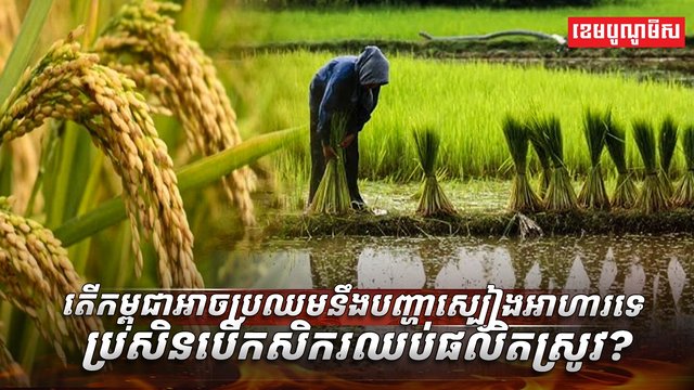 វិស័យ​កសិកម្ម