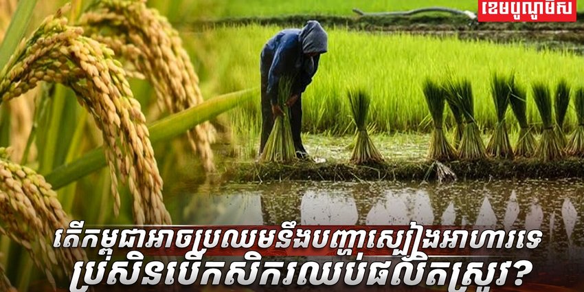 វិស័យ​កសិកម្ម