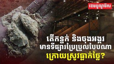 វិស័យស្រូវអង្ករ