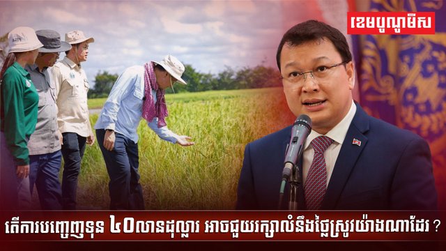 វិស័យកសិកម្ម