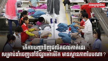 វិស័យកាត់ដេរ